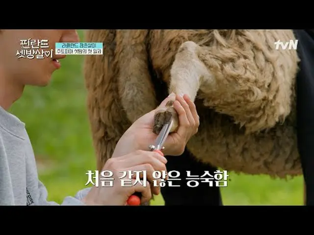 在电视上直播： #住在芬兰的出租房间#Lee Je Hoon_ #Lee DongHwi_ #Kwak Dong Yeon_ #Cha Eun Woo_芬兰 出