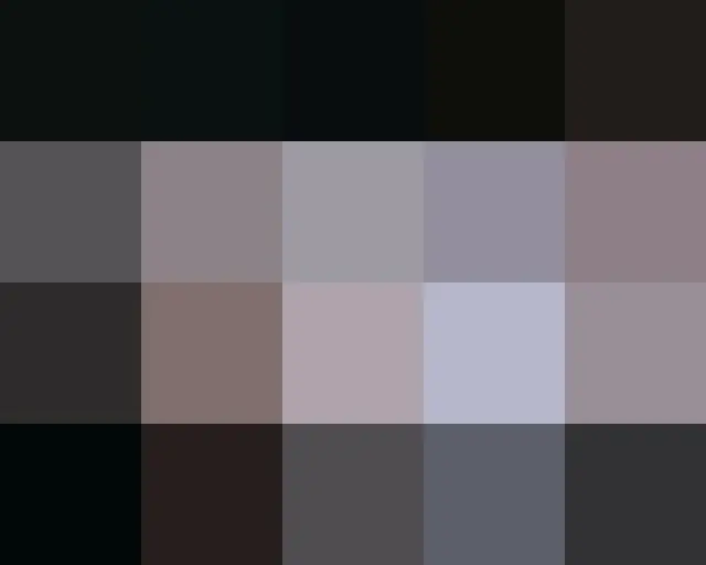 **ReVIBE_X 的 Instagram ** ReVIBE_ X YouTube 频道** LeeVIBE_ X Sunyoung 的 Instagram