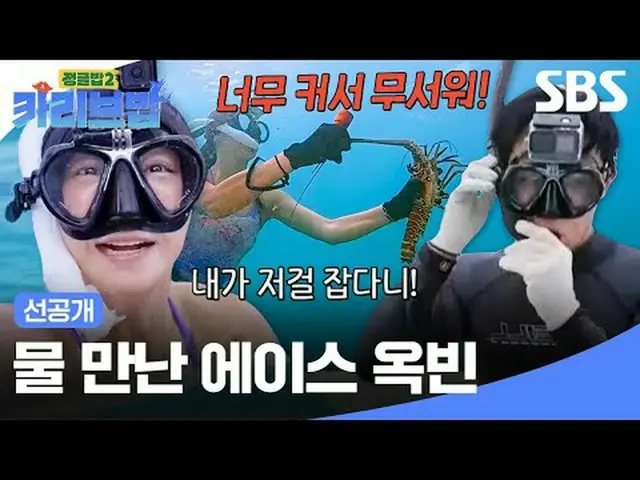 #SBSThursdayVariety #JungleBoB2 #TheJungleBoB2 #JungleBoB2CaribbeanBob #Caribbea