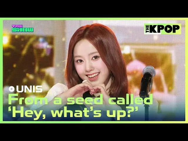#UNIS_，源自“你在做什么？”的种子