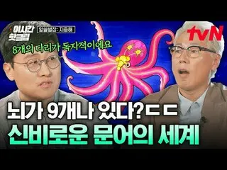 Tiving 上的流媒体：

 #tvN #Alseulbyeolmagazinemiddlesea
快速观看YouTube上最近最热门的视频！ #ThisTi