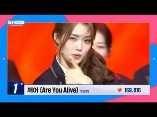 #ShowChampion #IdolChamp #STAGE_CHAM_ _ PION

 100%_ _ STAGE CHAM_ _ PION，粉丝投票选出
