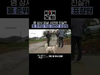 廉警佐被杀真相揭晓？！表昌元与洪警佐见面
#SBS 周四教育#那一天继续的故事#Kkokkomu
 #张圣圭 #张度妍 #张铉成_ #表昌元 #Can・Sung