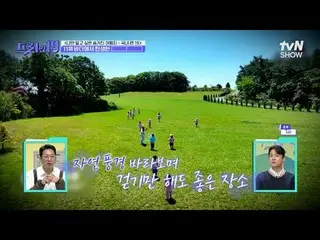 Tiving 上的流媒体：

 #全炫武_ #吴尚镇 #韩石俊

free19 EP.475
史无前例的 Scoop 排名

每周一晚9点50分在tvN SHO