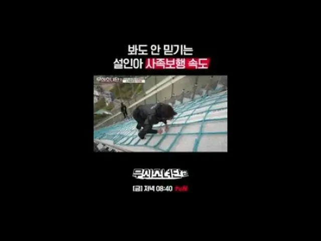 Tiving 上的流媒体：他们永无止境地挑战成为钢铁侠！他们摆脱恐惧并超越自己的极限！充满着《铁娘子》们的血汗与泪水的拳击冠军挑战故事！ 〈铁娘子2〉 ✔ 每周