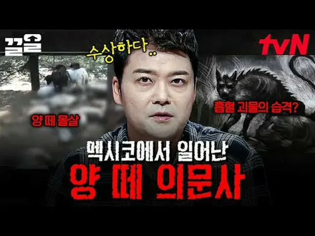 电视上播放： #tvN #FreeHan19 #PullUp tvN传奇综艺越来越火爆了↗↗免费19 免费19前所未有的 Scoop 排名🔍每周一晚9点50分