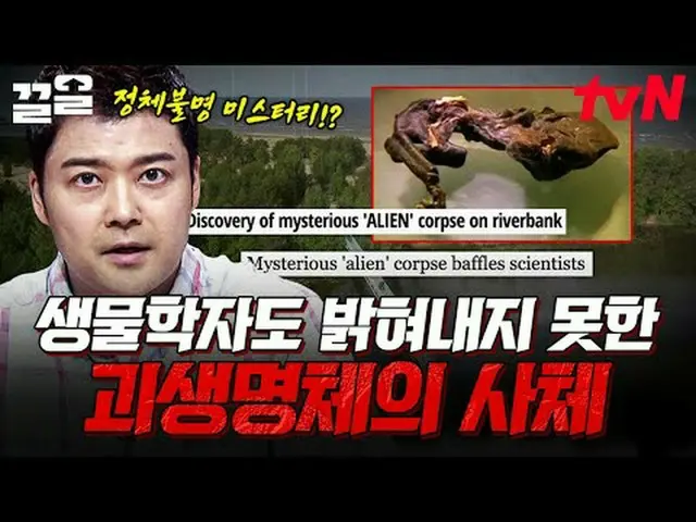 电视上播放： #tvN #FreeHan19 #PullUp tvN传奇综艺越来越火爆了↗↗免费19 免费19前所未有的 Scoop 排名🔍每周一晚9点50分