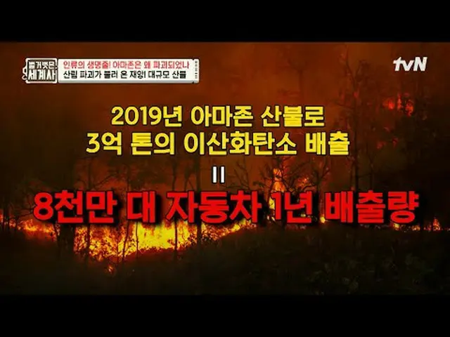 电视上播放：第219集 | 人类的生命线亚马逊为何被摧毁？赤裸裸的世界历史[周二] 晚上10:10 tvN播出#NakedWorldHistory #Eun J