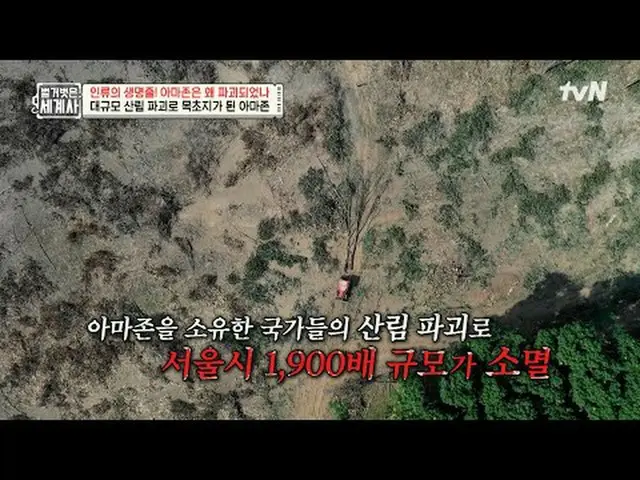 电视上播放：第219集 | 人类的生命线亚马逊为何被摧毁？赤裸裸的世界历史[周二] 晚上10:10 tvN播出#NakedWorldHistory #Eun J