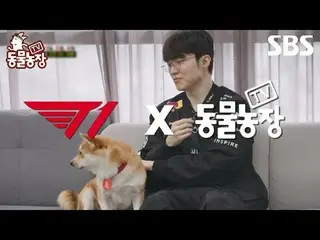 #申东烨 #Jeon SoNee（チョン・ソンヒ）_ #Tony An_ #Joy
 #SBSCulture #TVAnimalFarm #AnimalFarm