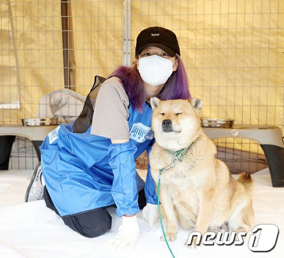 在贞延生日那天，“ TWICE”贞延的海外粉丝俱乐部为被遗弃的狗捐款