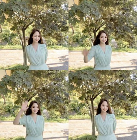 出现在森林中的仙女般的美女朴敏英（Park Min Young）向歌迷们报告了女神的身份。