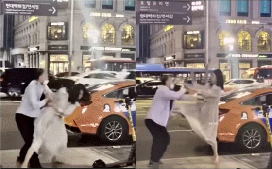 一名醉酒女子殴打出租车司机男子的视频流传开来，“警惕醉酒文化”=韩国报道