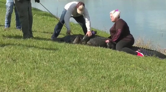 美国女子遛狗时被拖入水中身亡