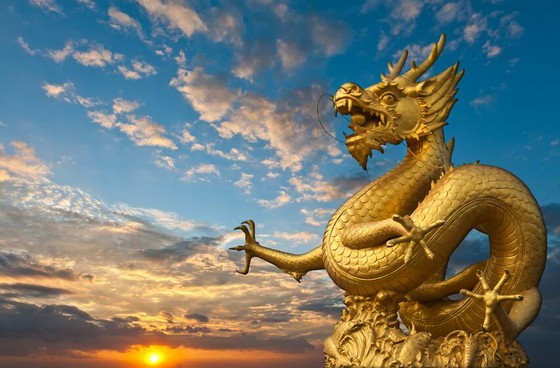 中国深圳，一条鳄鱼突然从天而降。
