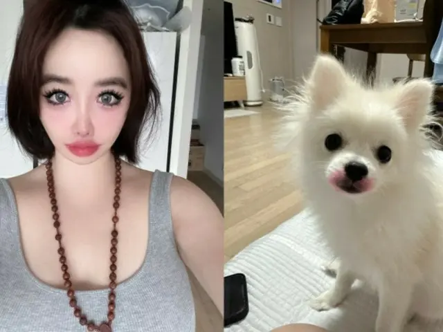 BOM（2NE1）在与杨贤硕的诉讼中对她的电话号码和天文数字的金钱感到“担心”......她甚至公开了她涂有口红的宠物狗。