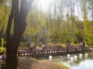 京畿道旅游局介绍韩国秋季赏景森林（韩国）