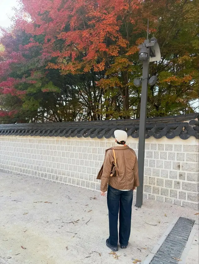 “乳がん闘病中→最近番組復帰”パク・ミソン、「生きながらこんな余裕を享受」…秋の紅葉スポットを巡りつづった“幸福感”2