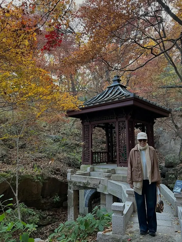 “乳がん闘病中→最近番組復帰”パク・ミソン、「生きながらこんな余裕を享受」…秋の紅葉スポットを巡りつづった“幸福感”3