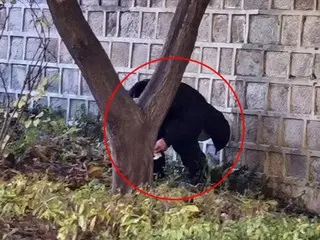 外国人惹事……这次是在光化门“半裸奔跑”=韩国