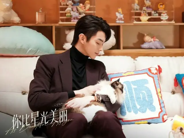 <Chinese Drama NOW>《为你，比星星更闪耀》第25集：星尘和韩霆逃离危机 = 剧情简介及剧透