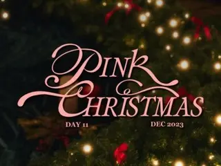 《Apink》将于12月11日发行季节歌曲《PINK CHRISTMAS》