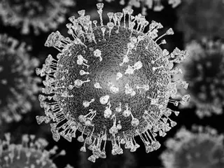中国也对新型冠状病毒的死灰复燃感到紧张：“JN.1增加”=韩国报告