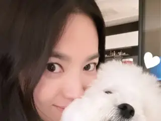 女演员宋慧乔拥有一张小狗大小的脸……自然纯洁的女神