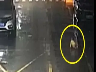 6个月大的婴儿雨夜独自爬在路上……中国到底发生了什么？