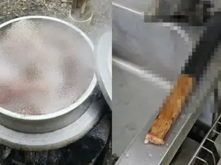 韩国60多岁男子因“吃狗肉汤”而杀死自己的狗被指控