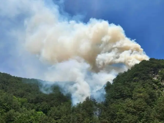 江原道、太白市の山火事、6時間で鎮火…国有林2.4ヘクタールが焼失＝韓国