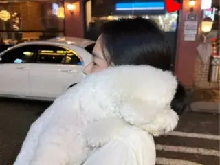 女演员宋慧乔牵着心爱的狗在街上散步……她无法隐藏她纤细的鼻线