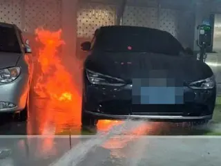 电动车又火了……奔驰紧随起亚汽车=韩国