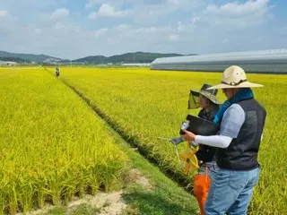 亚洲大米价格一周内“暴跌”11%……创16年来最严重