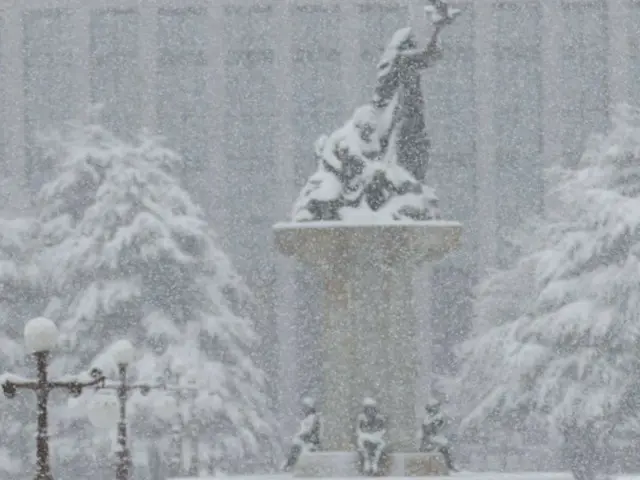 韩国下第一场雪=正确预测今夏热浪的韩国气象学家预测今冬严寒