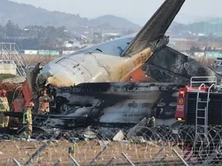 务安国际机场客机失事“鸟击是原因”VS“无法解释”……专家对事故原因有不同看法=韩国