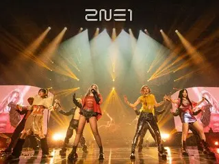 2NE1 首尔安可演唱会门票预售于今日（5 日）开始发售……亚洲巡回演唱会大结局