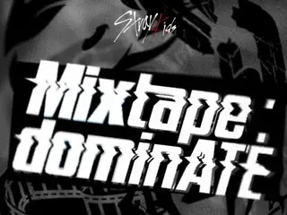 Stray Kids 将于 21 日发布第五张 Mixtape：dominATE