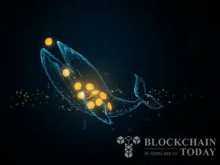 比特币价格达到峰值后，鲸鱼持续抛售，八年内持仓减少 40%