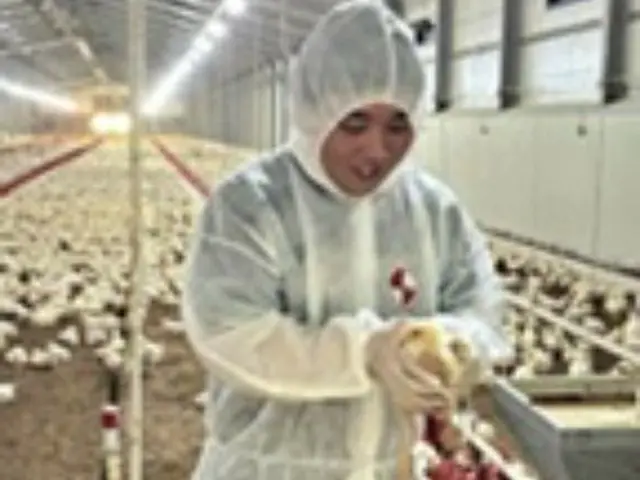 乐天玛特开始饲养鸡以确保食品安全 - 韩国