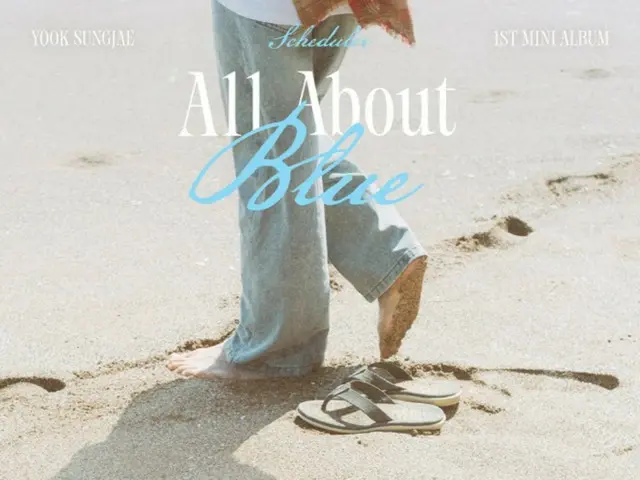“重返工作岗位” BTOB 陆星材公开首张迷你专辑《All About Blue》日程表
