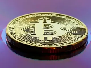 比特币宝藏热潮或将抵消山寨币的损失