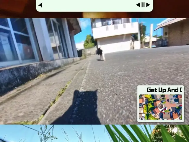 「Red Velvet」ジョイ、ネコの視点の1stミニアルバム「From JOY, with Love」のハイライトクリップを公開