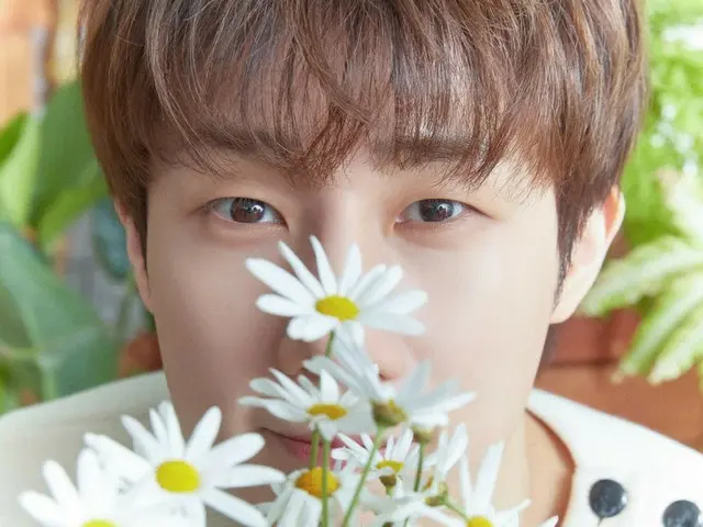 《INFINITE》发布新专辑《Flower》概念照“Sungkyu”版…“心跳爆炸”