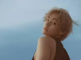 《BTS》V、《Layover》LP 全世界售罄