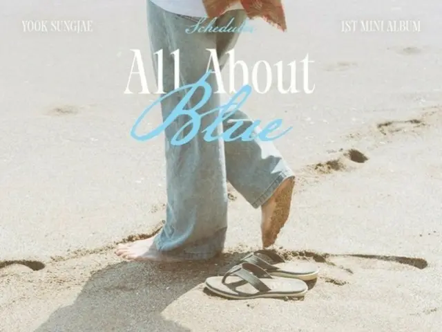 BTOB 成帝将于 19 日回归个人舞台...首张迷你专辑《All About Blue》时间表公开
