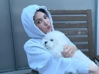 演员宋慧乔抱着爱犬，散发着致命魅力