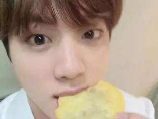 防弹少年团 JIN 凭借可爱仓鼠脸在偶像中排名第一