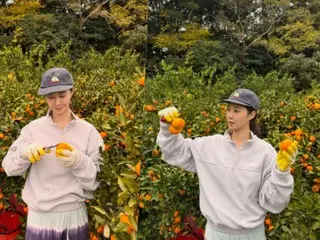 权侑莉生活在两个地方：济州岛和首尔……今天在采摘柑橘，“我是一位年轻的农民”。